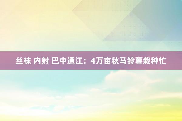 丝袜 内射 巴中通江：4万亩秋马铃薯栽种忙
