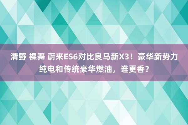 清野 裸舞 蔚来ES6对比良马新X3！豪华新势力纯电和传统豪华燃油，谁更香？