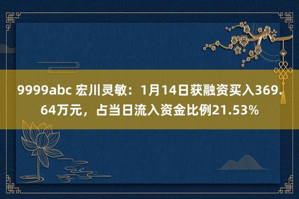 9999abc 宏川灵敏：1月14日获融资买入369.64万元，占当日流入资金比例21.53%