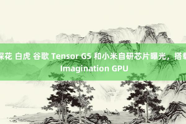 探花 白虎 谷歌 Tensor G5 和小米自研芯片曝光，搭载 Imagination GPU