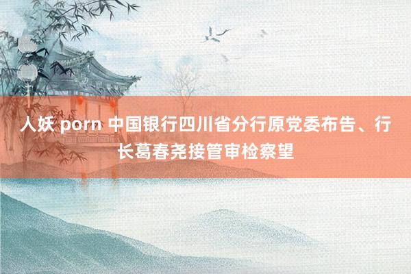 人妖 porn 中国银行四川省分行原党委布告、行长葛春尧接管审检察望