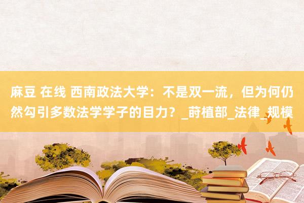 麻豆 在线 西南政法大学：不是双一流，但为何仍然勾引多数法学学子的目力？_莳植部_法律_规模