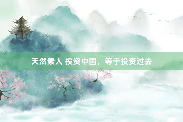 天然素人 投资中国，等于投资过去