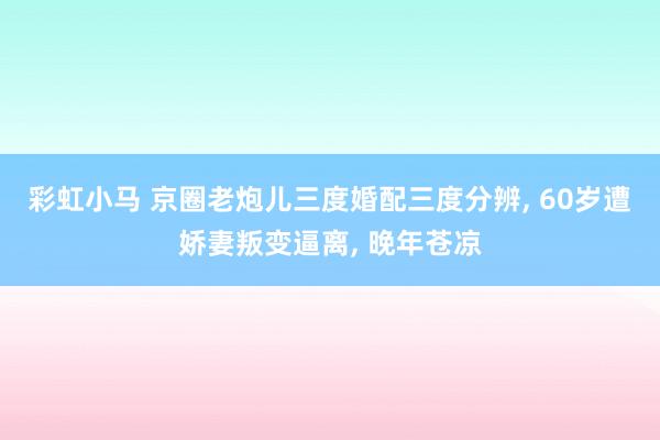 彩虹小马 京圈老炮儿三度婚配三度分辨， 60岁遭娇妻叛变逼离， 晚年苍凉